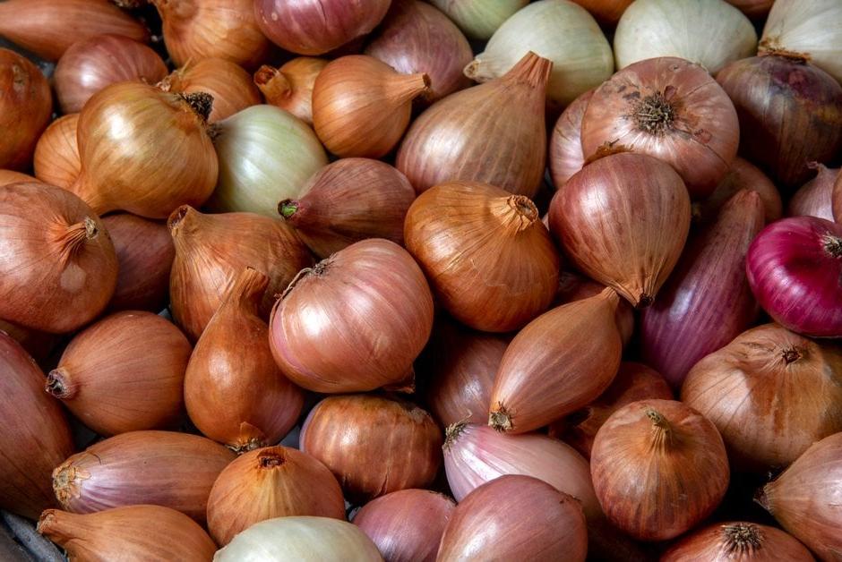 Shallots