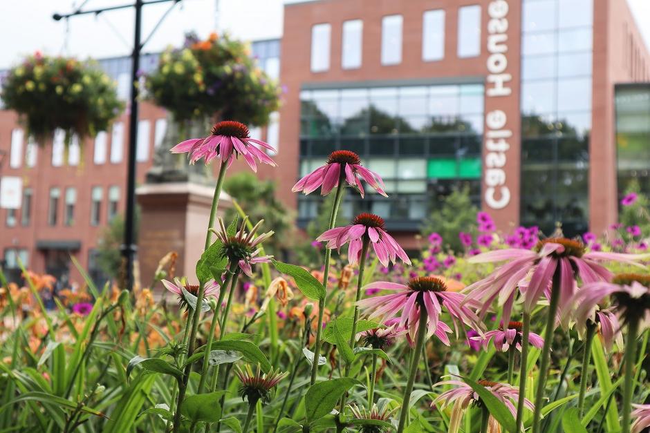 Beautiful planting in the town centre in Newcastle-under-Lyme