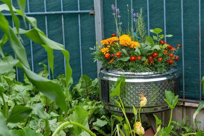 Laundry drums have been fashioned into innovative features in the gardens’ landscape design