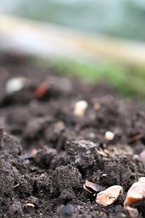 Close up of clay soil pit.