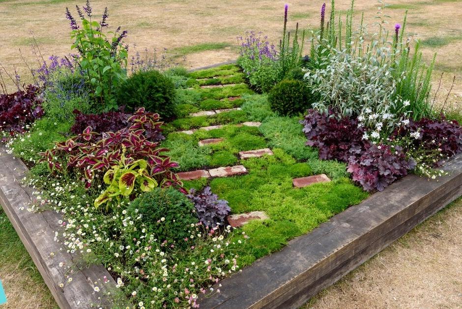 Green For Me Greener Border at RHS Tatton Park 2022