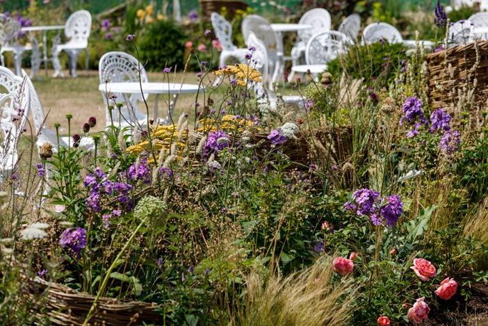 Rose Tea Garden at RHS Hampton Court 2022