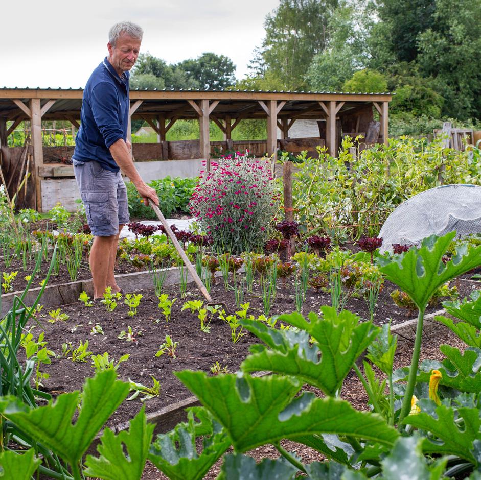 No-dig expert Charles Dowding at his Somerset garden, Homeacres