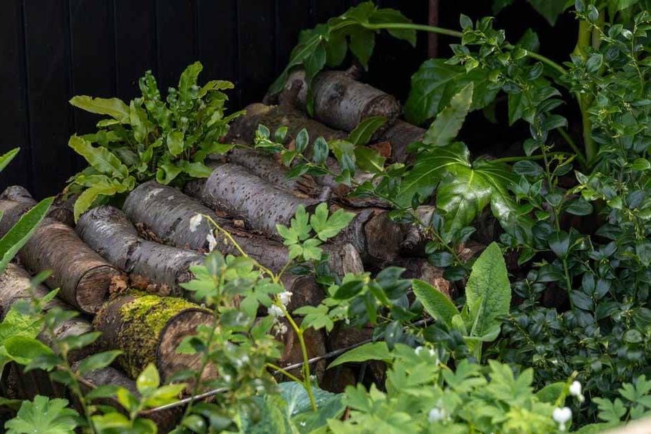 Log pile in the Concrete 2.0 Garden