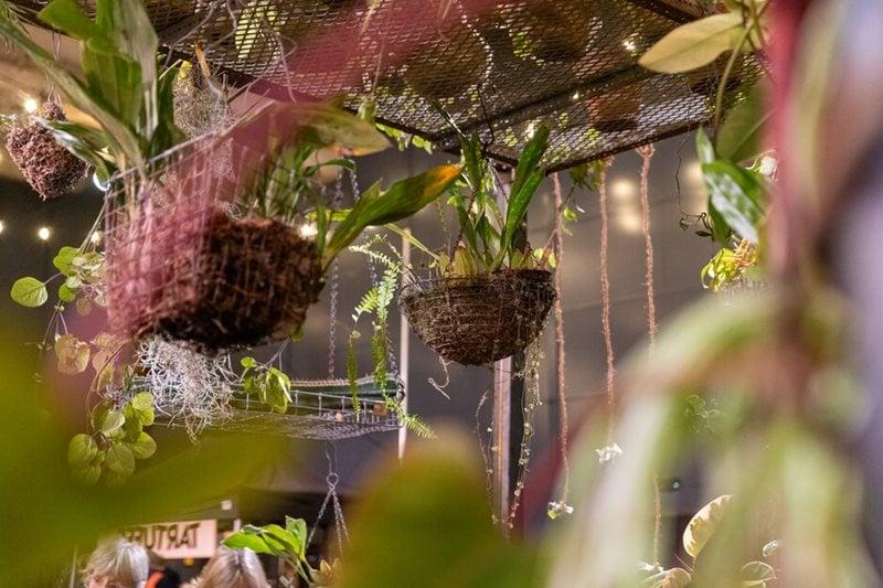 Hanging planters