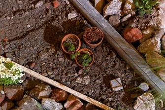 Divided spaces on Punk Rockery