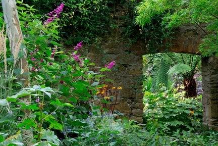 Abbotsbury Subtropical Gardens