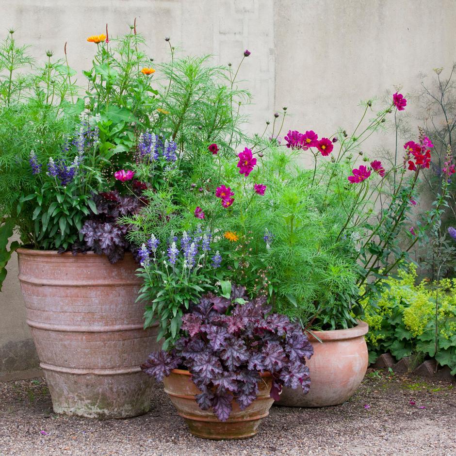 Themed containers can be grouped for a high-impact display