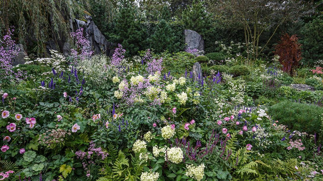 Bodmin Jail: 60&deg; East &ndash; A Garden Between Continents