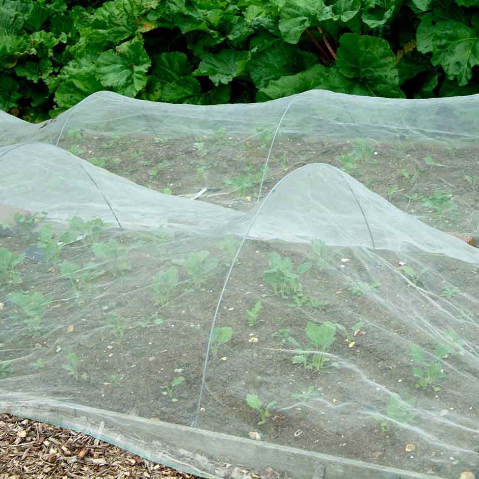 Covering crops with fleece