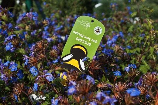 Plants for Pollinators label