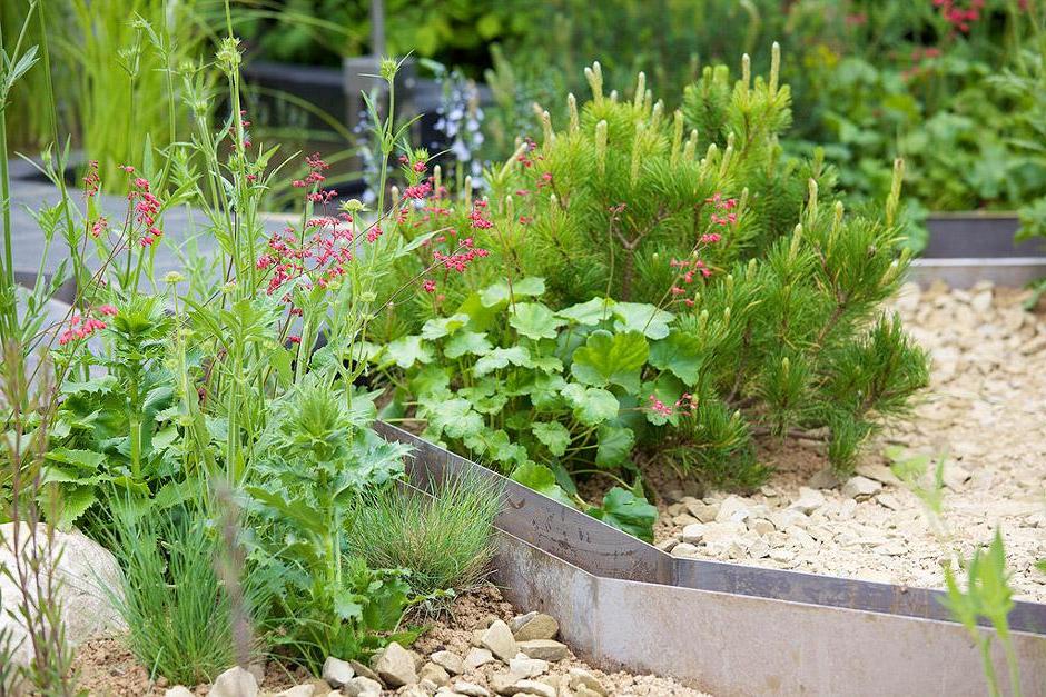 RHS guide to sustainable gardening