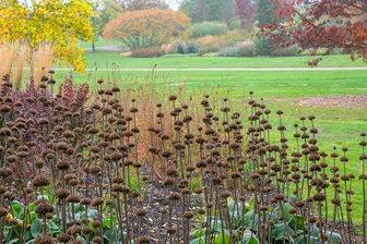 Winter Garden border and pathway