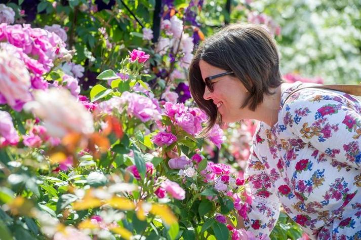 A visitor smelling a rose in the Rose Garden at RHS Garden Rosemoor