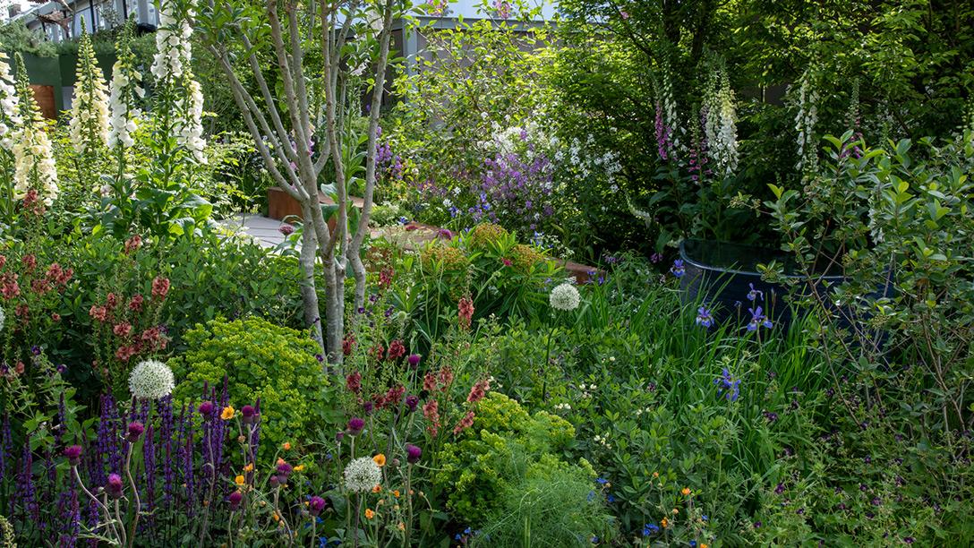 BBC Studios Our Green Planet and RHS Bee Garden