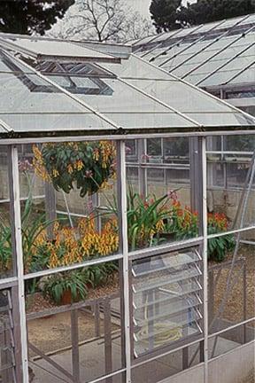 There are many greenhouses to choose from... Credit: RHS