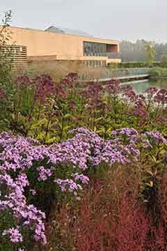 Walled garden at RHS Bridgewater