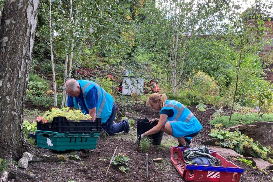 Find out more about Britain in Bloom