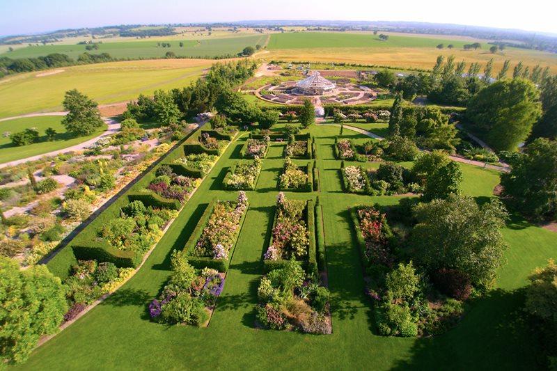 Global Growth Vegetable Garden with flowering borders