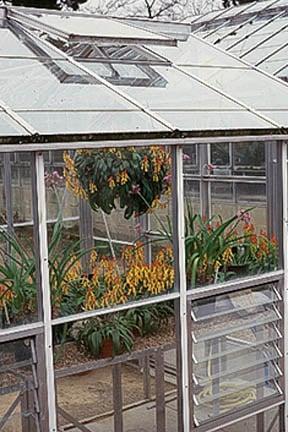 Greenhouses need to be well ventilated to prevent dampness and mould. Image: RHS/John Trenholm 