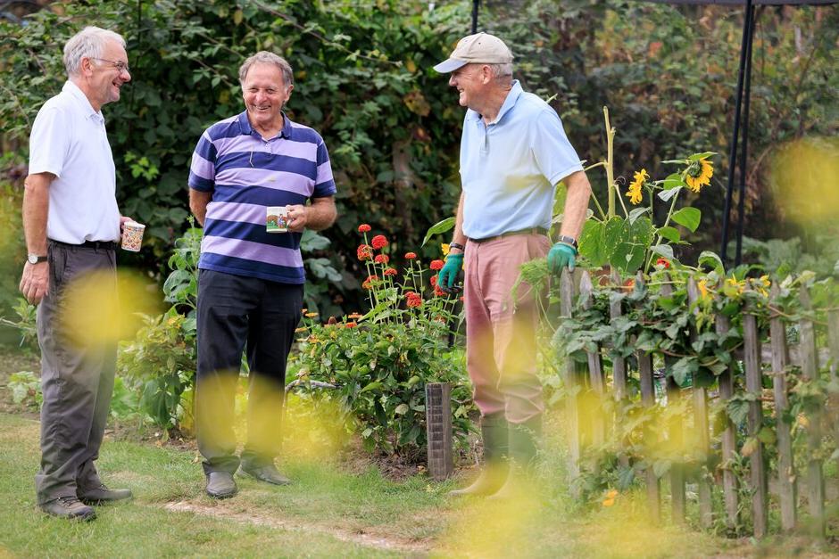 Community gardening