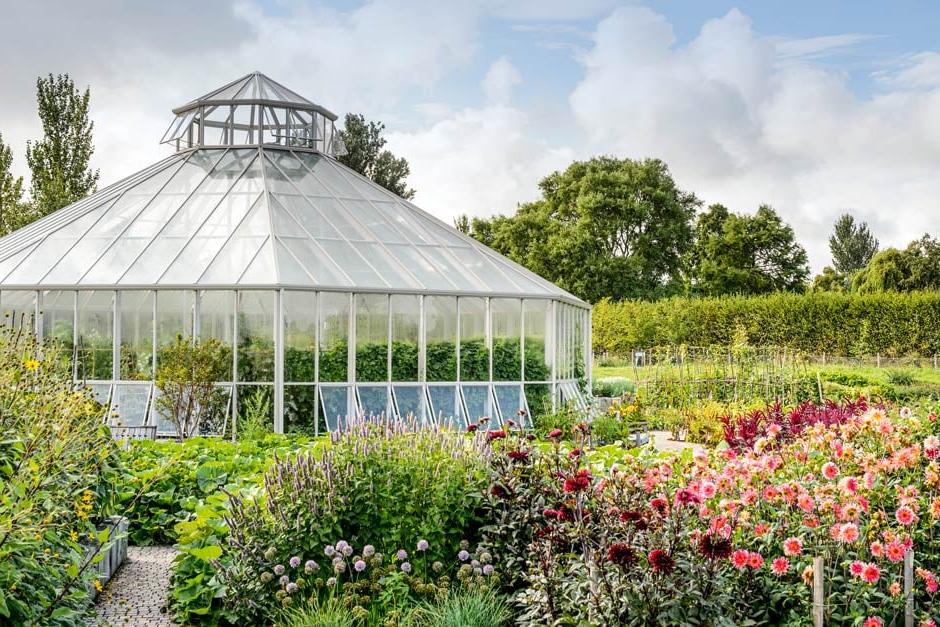 Global Growth Vegetable Garden at RHS Hyde Hall