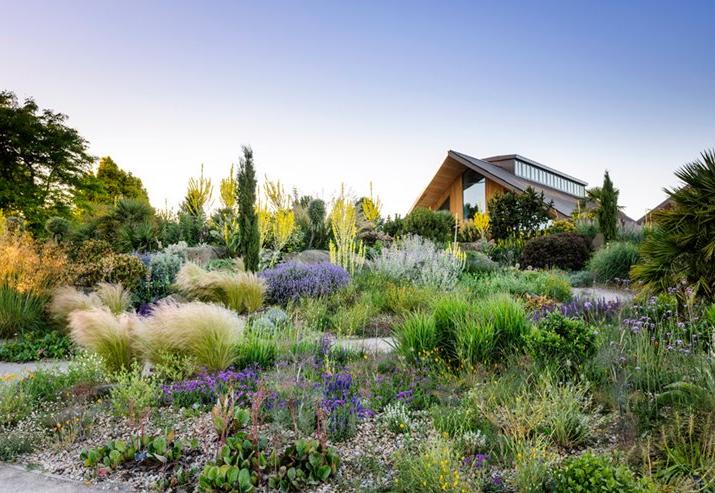 Learning Centre and Restaurant near Dry Garden