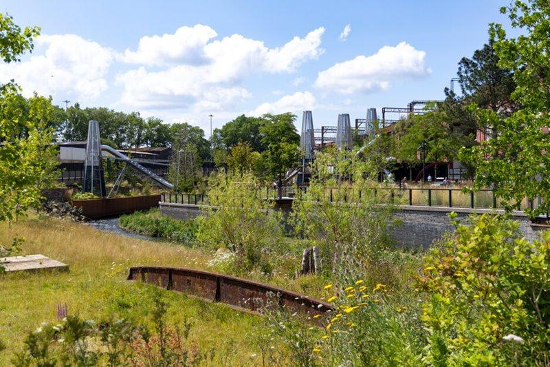 Greening up urban Manchester