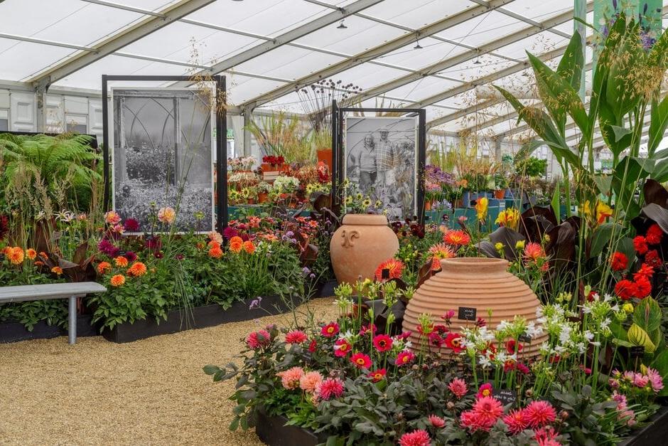 Todd's Botanics Master Grower Display at RHS Hampton Court 2022