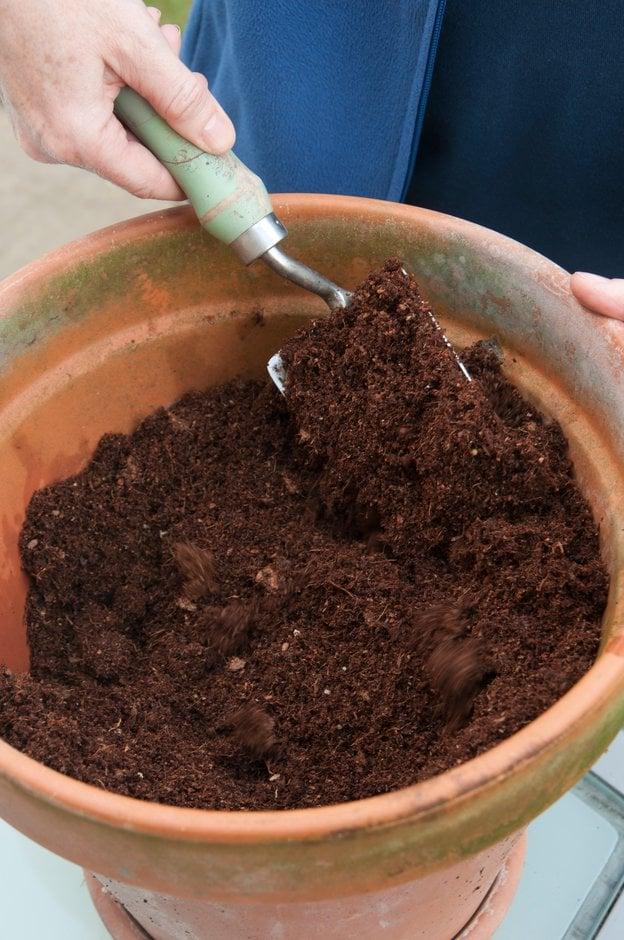 Mixing coir compost to fully hydrate it before use