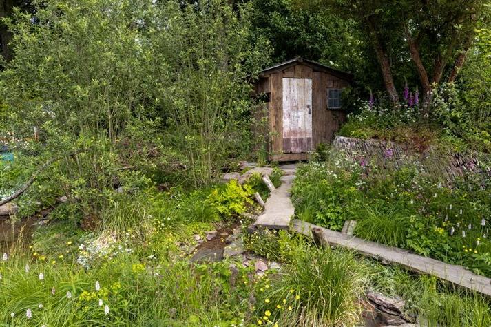 A Rewilding Britain Landscape at RHS Chelsea 2022