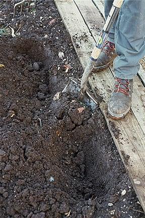 Single digging a bed, border or vegetable patch.