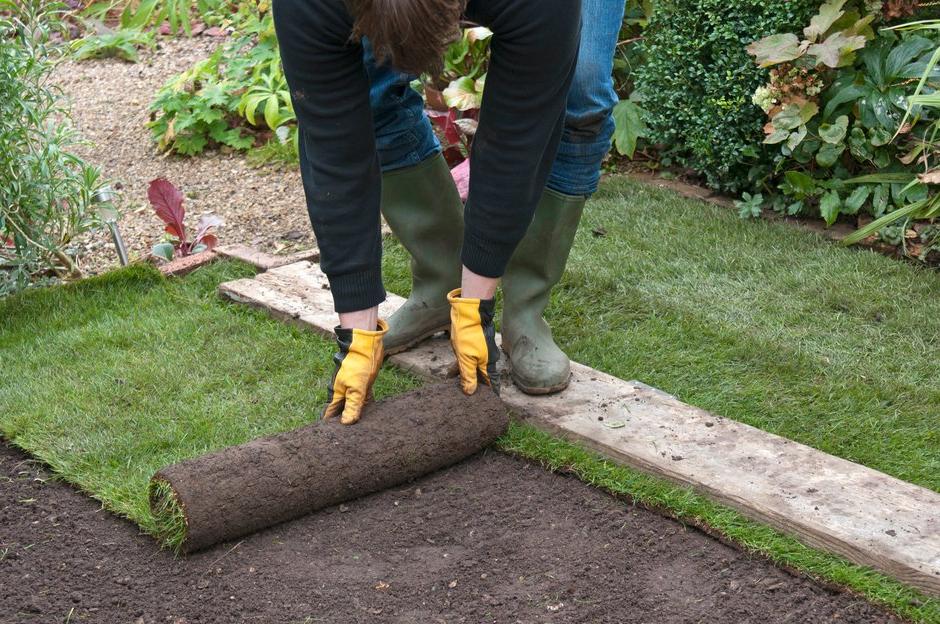 Laying a new lawn from turf