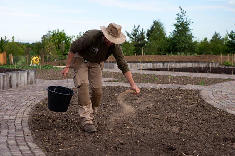 Feeding the soil with bone meal