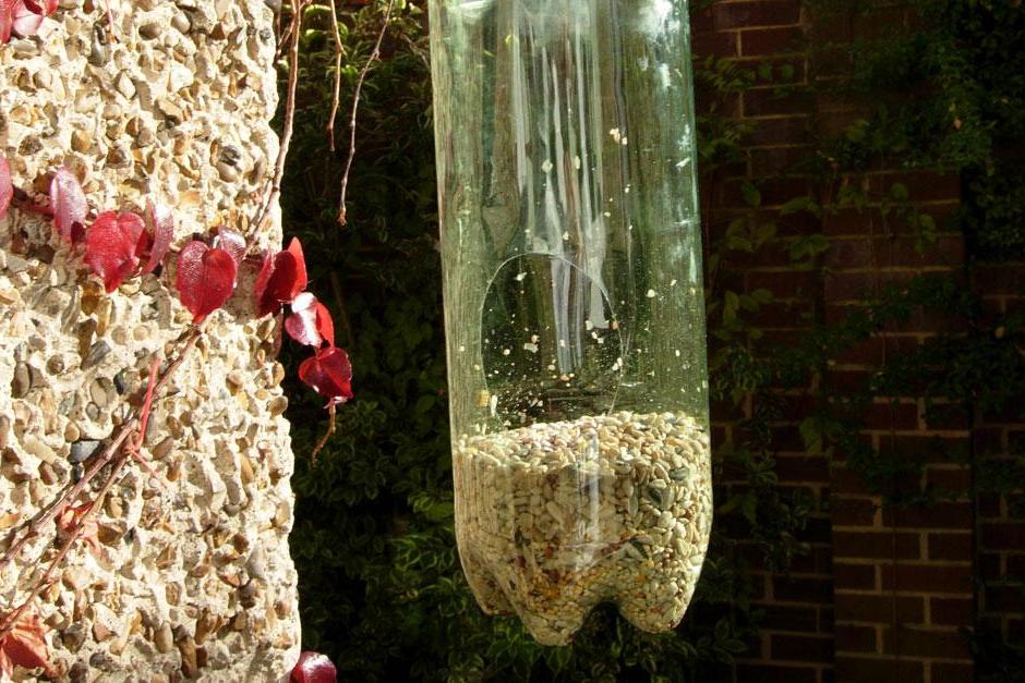 Make a bird feeder