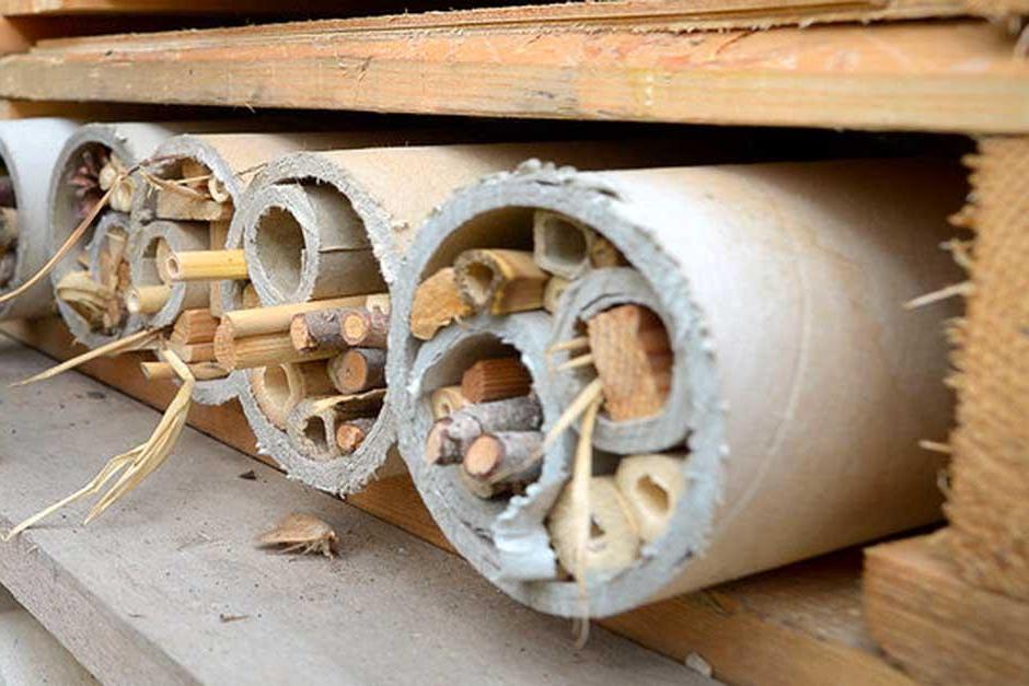 Make a bee hotel