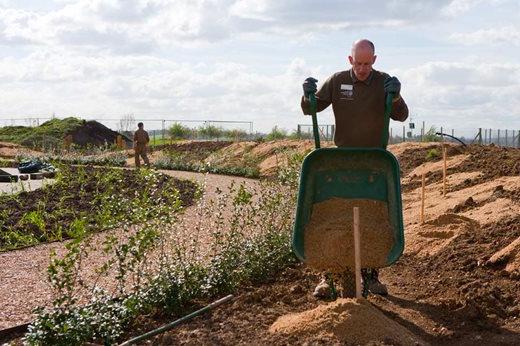 Moving sharp sand using a wheelbarrow