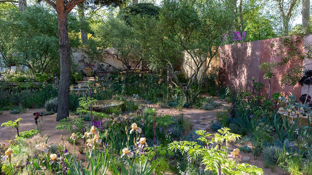 The Nurture Landscapes Garden