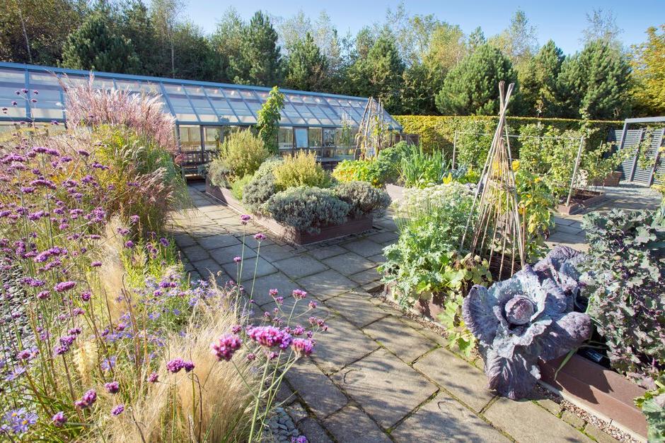 Sitting alongside the Bramall Learning Centre, the Teaching Garden has a broad range of planting environments and habitats, all helping to form the basis of different types of learning. The Teaching Greenhouse offers another learning space, where&nbsp;tender and exotic crops are grown through the year.