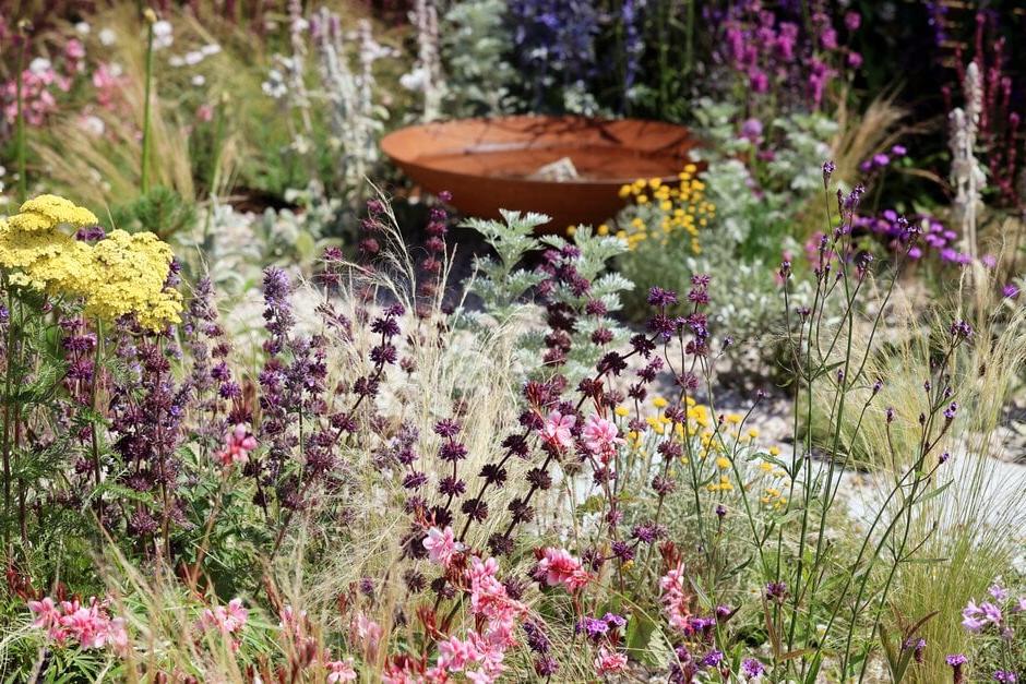 Planting in the Turfed Out garden RHS Hampton Court 2022