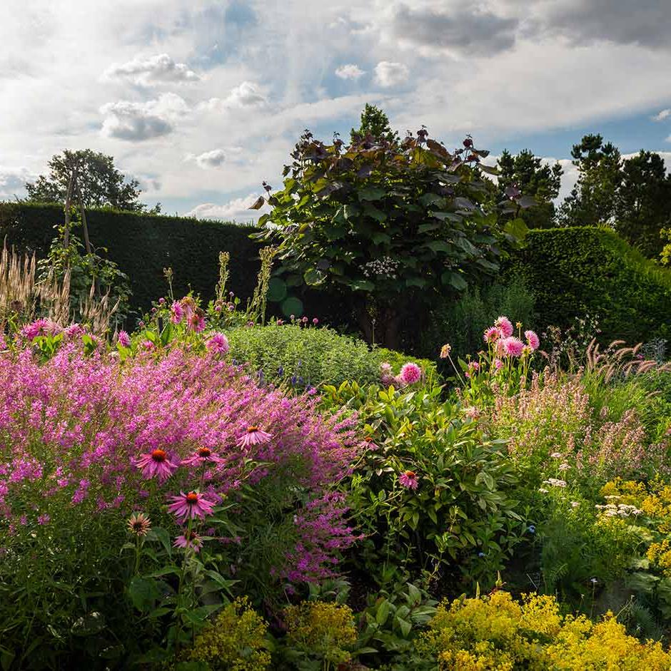 Structural hedges form a strong backbone to this colour filled border 