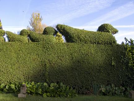 Topiary