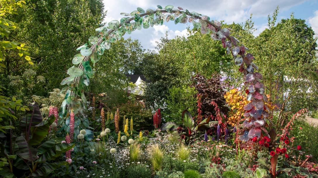 RHS Britain in Bloom 60th Anniversary: The Friendship Garden