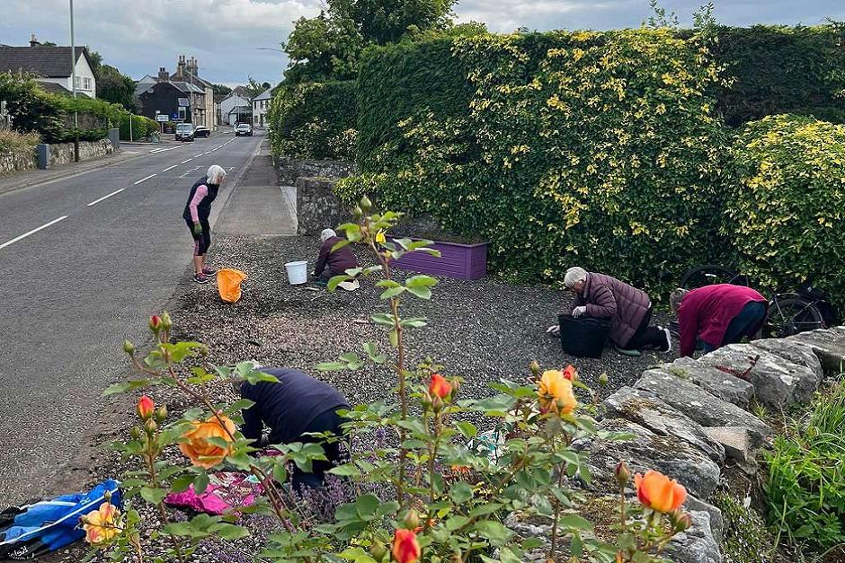 Volunteers from Kinnesswood in Bloom working hard in the rose garden