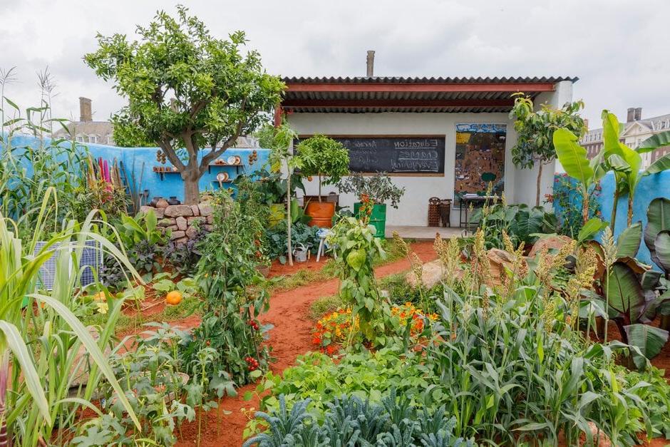 The CAMFED Garden: Giving Girls in Africa a Space to Grow artwork