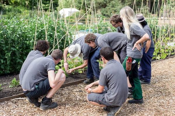 Trainer at Wisley