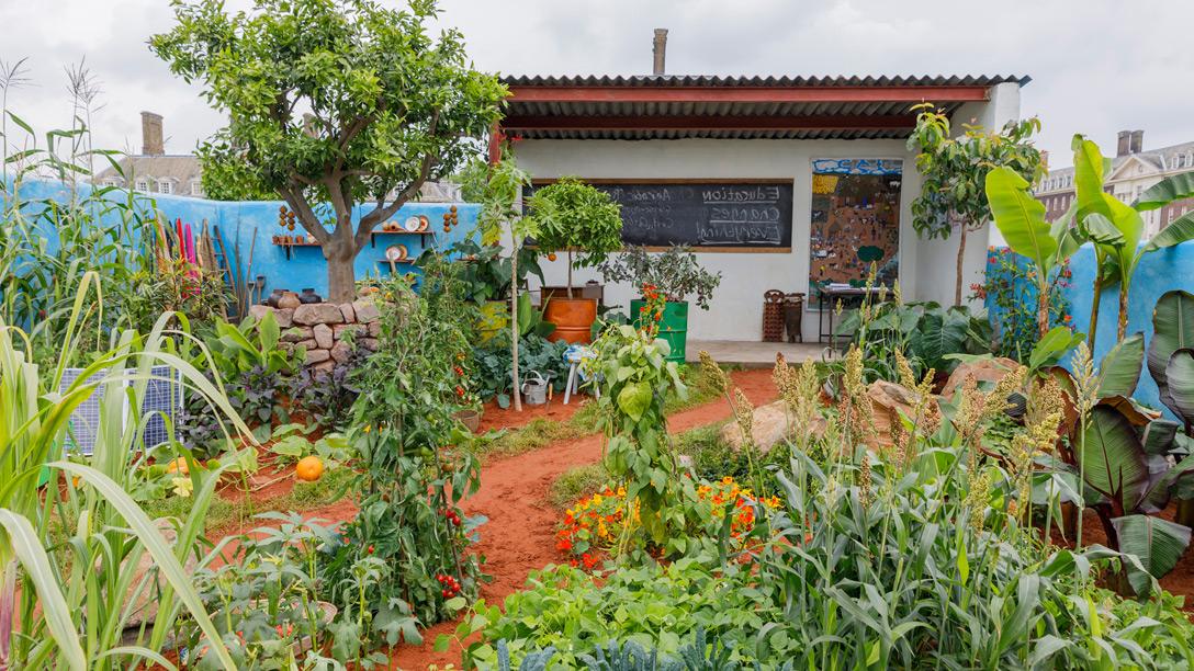 The CAMFED Garden: Giving Girls In Africa a Space to Grow