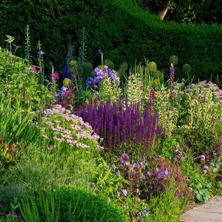 Many plants thrive in a chalky soil