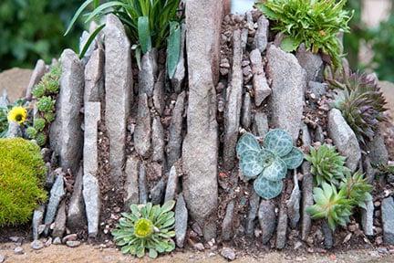 Planted up crevice trough