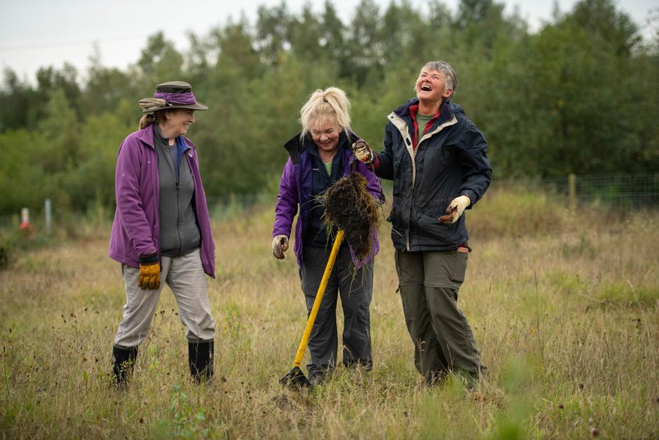 Volunteers tree popping at Silverdale Country Park, Newcastle-under-Lyme - removing self-set trees from an area which is home to a rare butterfly (Dingy Skipper), which likes open habitat